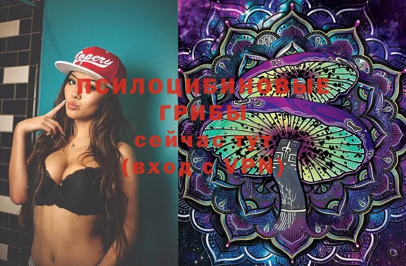 Псилоцибиновые грибы Magic Shrooms  Шацк 